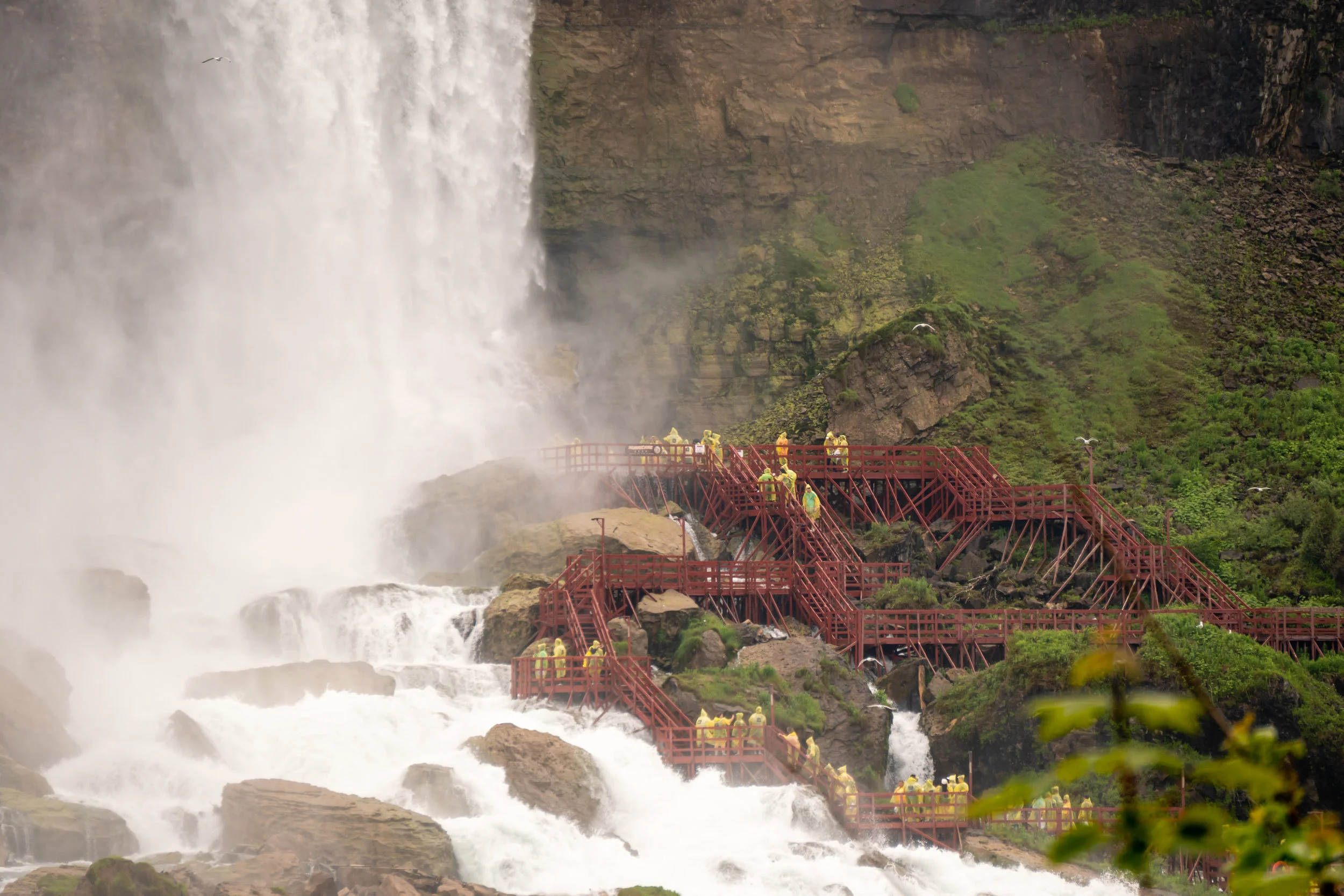 _DSC8733.jpg