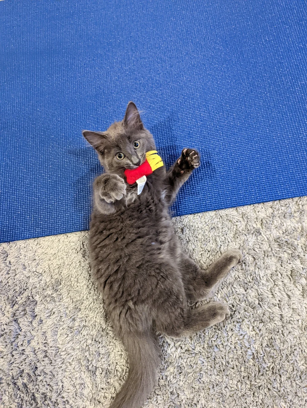 want fries with that?