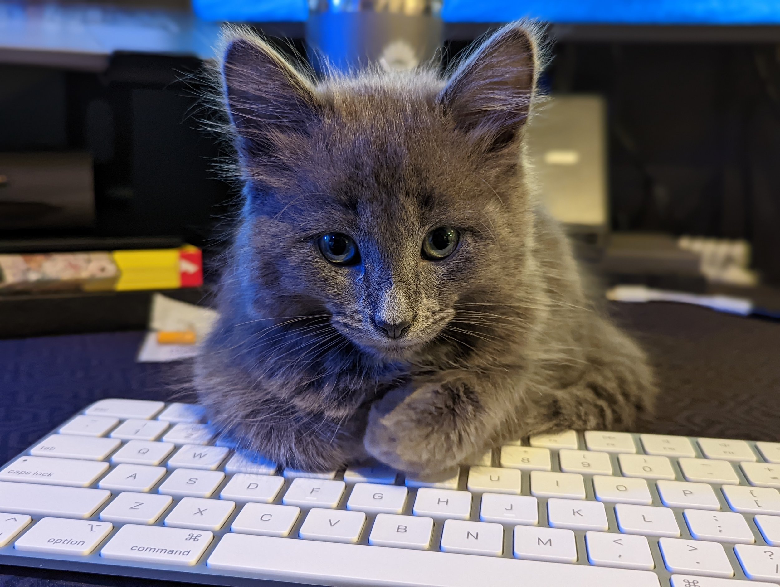 Pepper Sparkles
