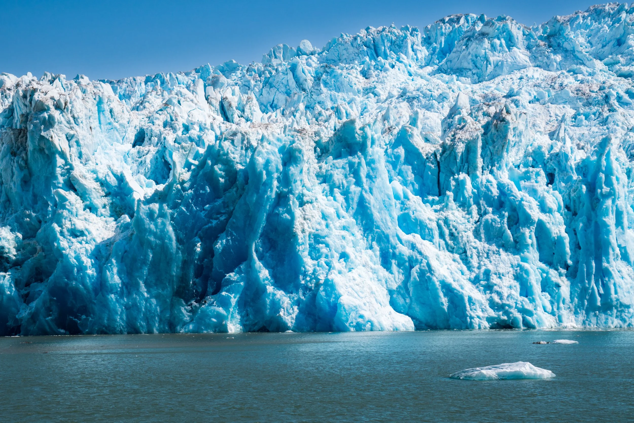 Seattle Day Tour and Alaskan Cruise