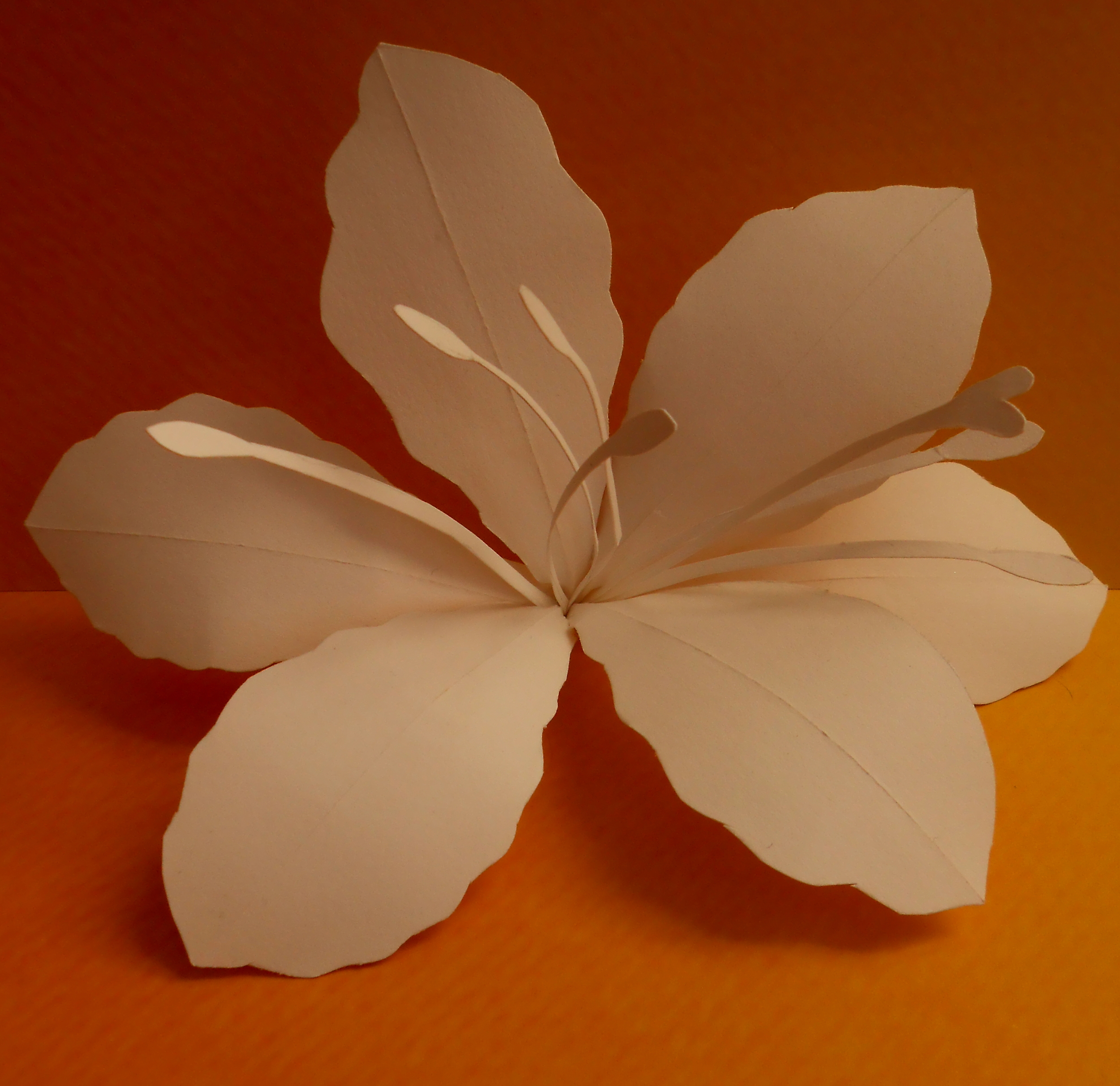 lily paper sculpture.jpg