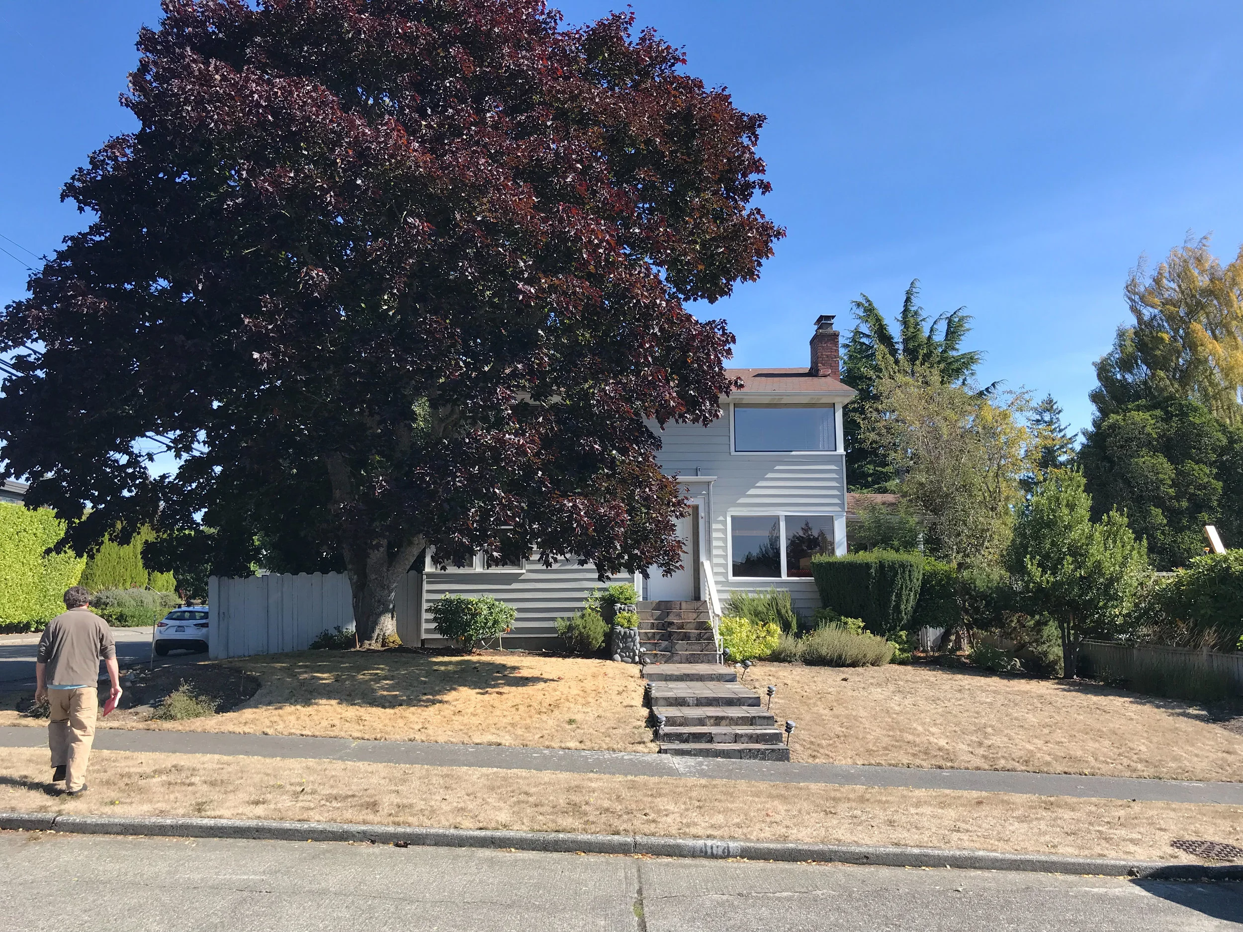 West Seattle Front Yard.jpeg