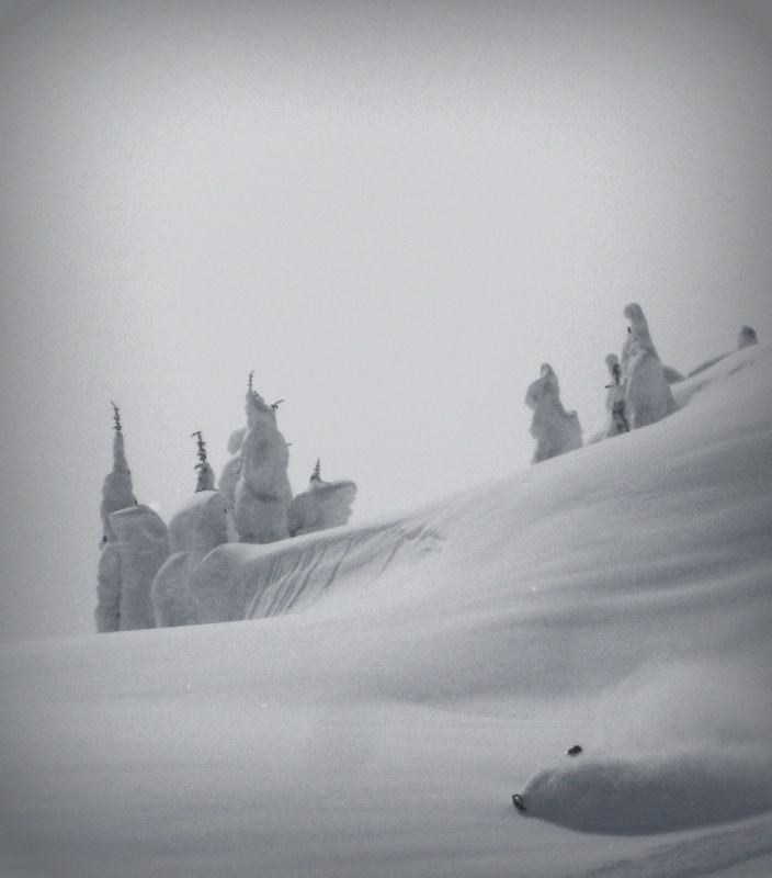 Winter 2012 087-001.JPG