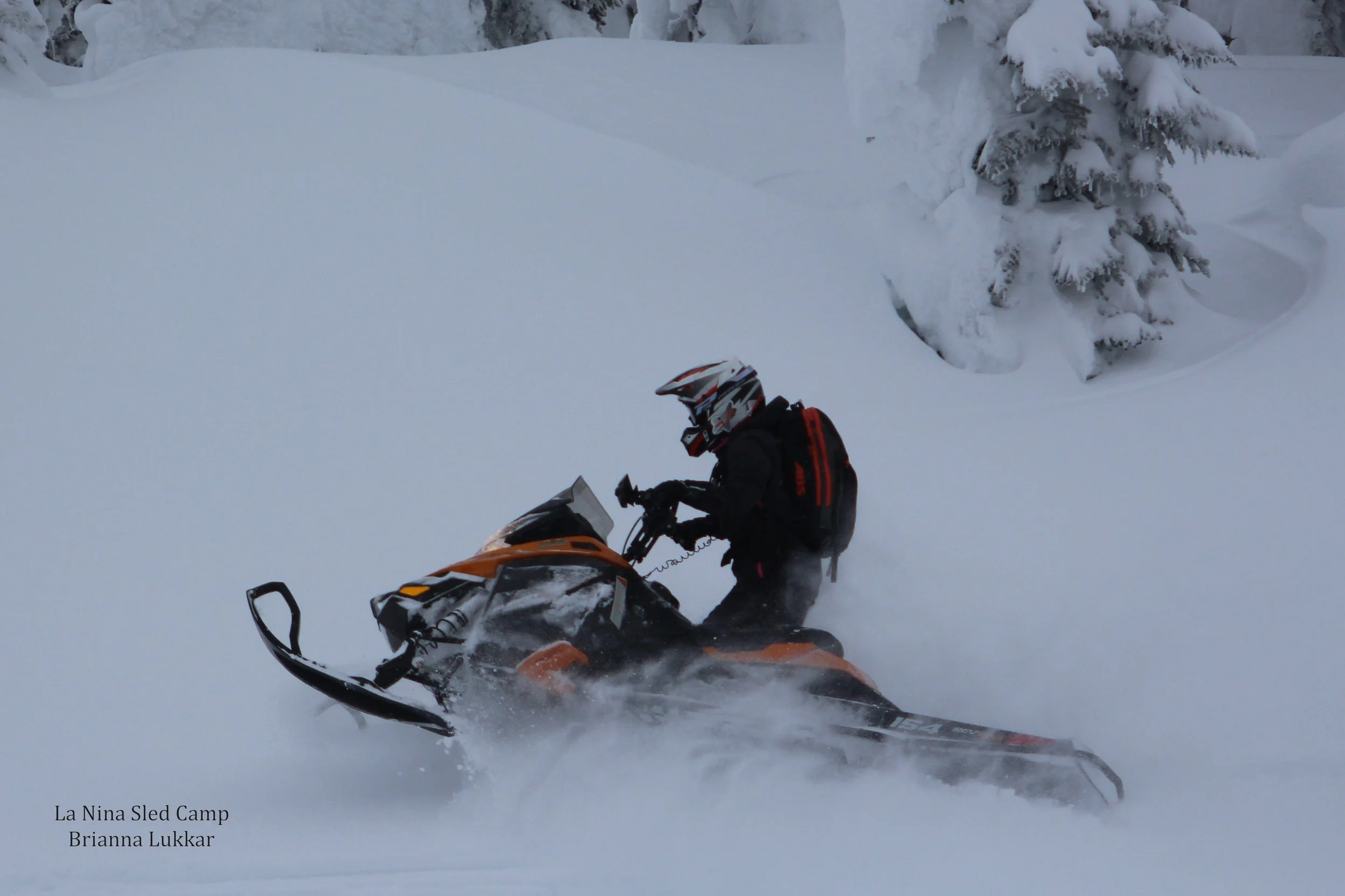 IMG_7422.jpg