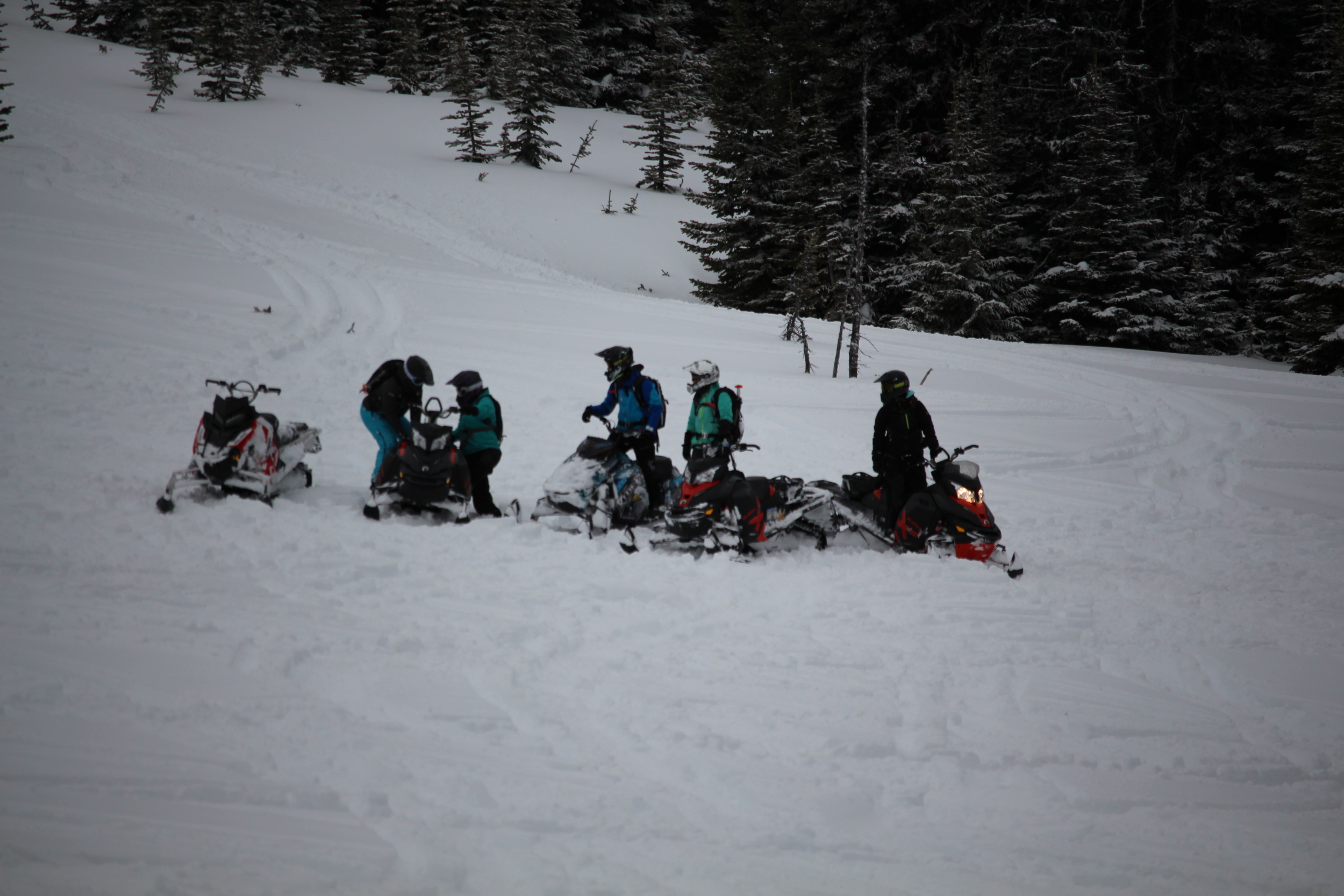 Lanina sled camp 059.jpg