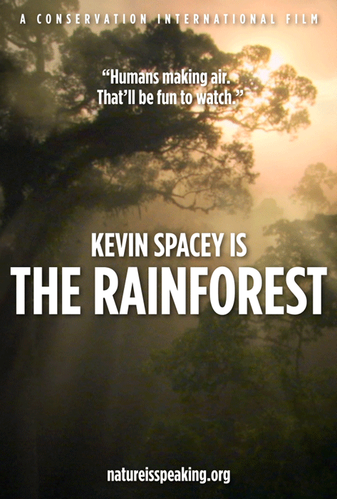RAINFOREST.gif