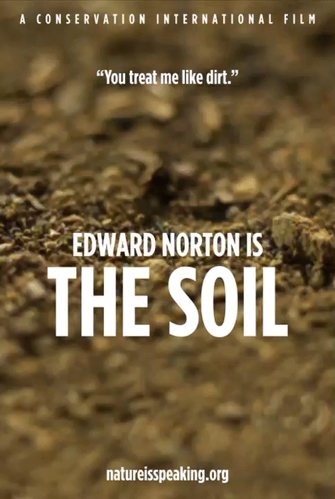 SOIL.gif