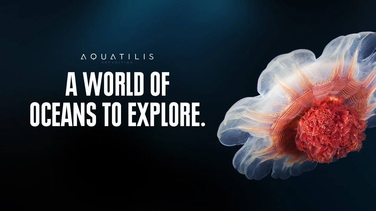 aquatilis_intro.jpg