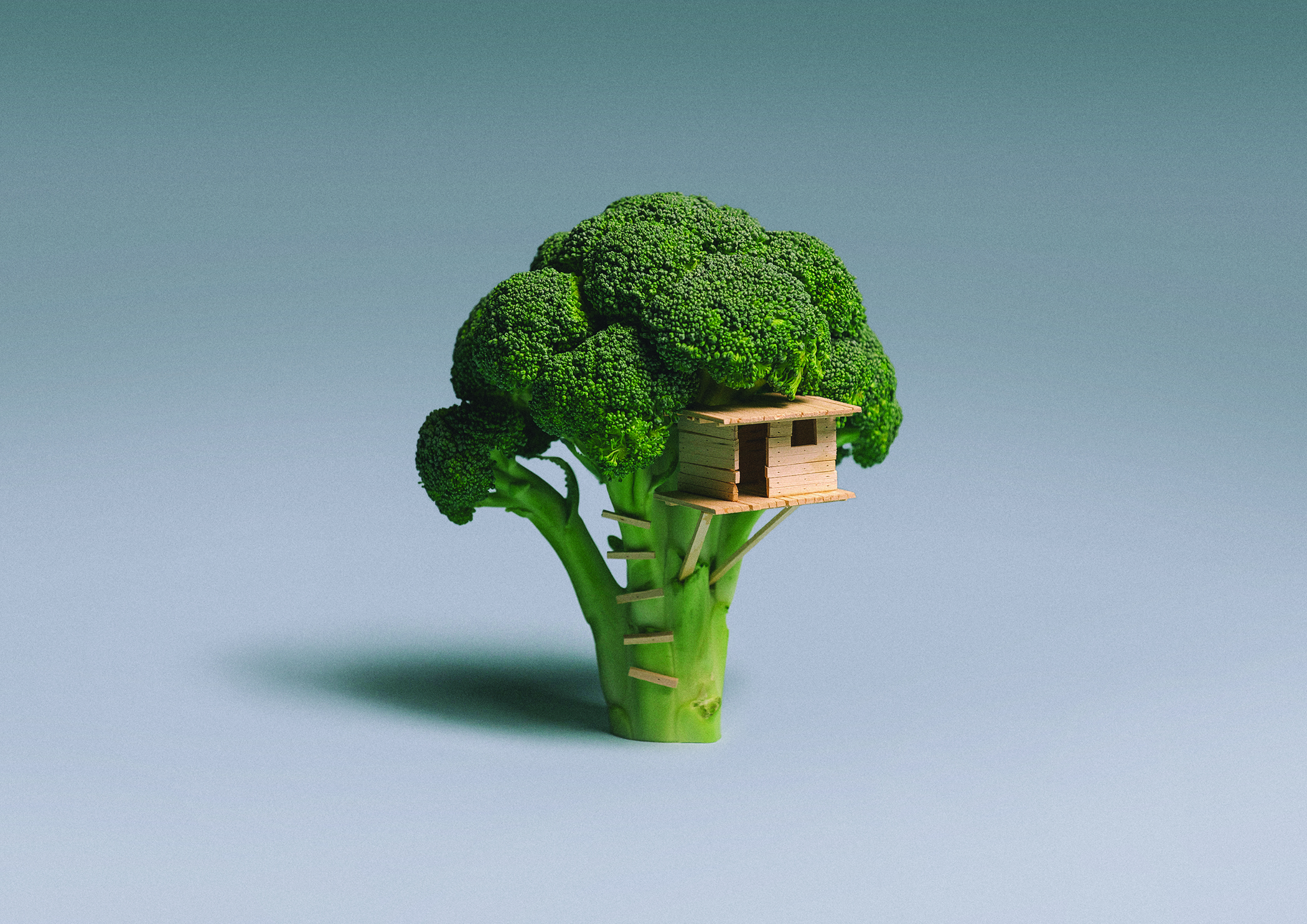 Broccoli_House_lo-res.jpg