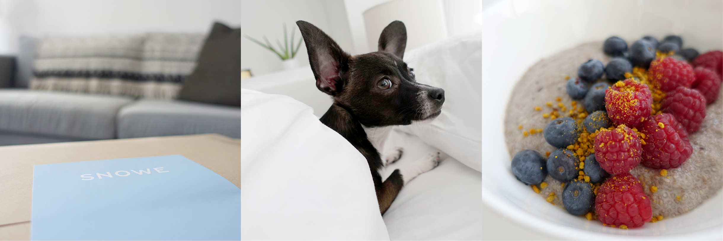 In collaboration with Snowe Home, I photographed their new sateen sheets in my Brooklyn apartment.