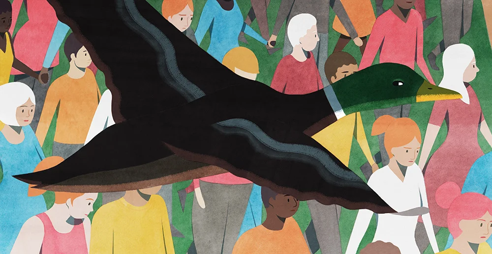 " Duck Sex and the Patriarchy " by Richard O Prum for the New Yorker .