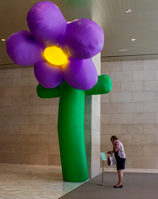 6th-ave-Grown-Up-Flowers-4-TavishTimothy.png