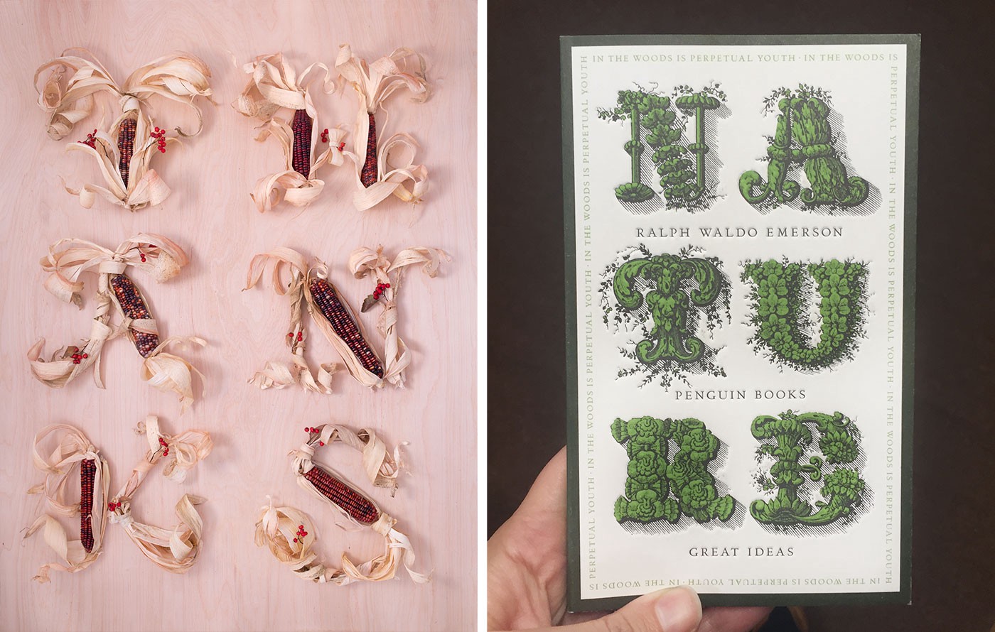 My work on the left, influenced by David Peason’s Nature Cover for Penguin Books.