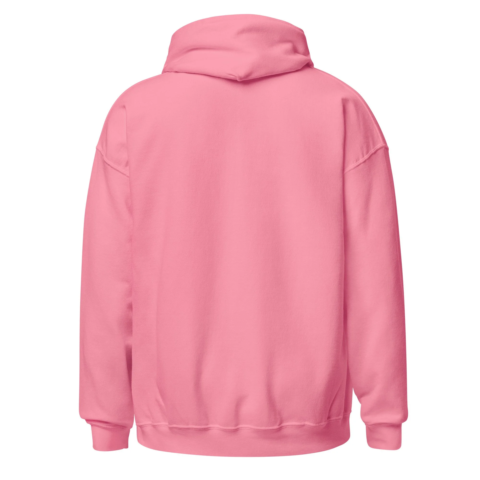 unisex-heavy-blend-hoodie-azalea-back-69e27cb3cfa03.jpg