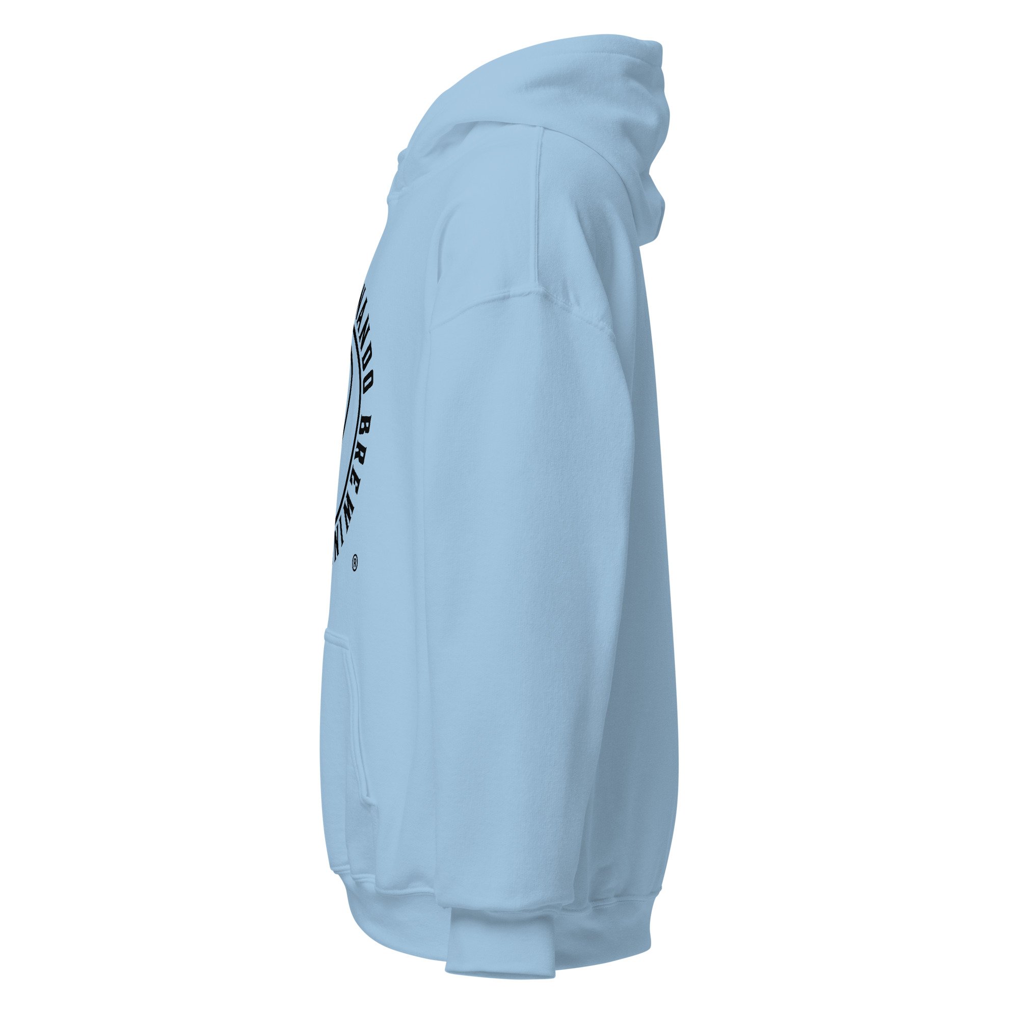 unisex-heavy-blend-hoodie-light-blue-left-69e27cb3d0426.jpg