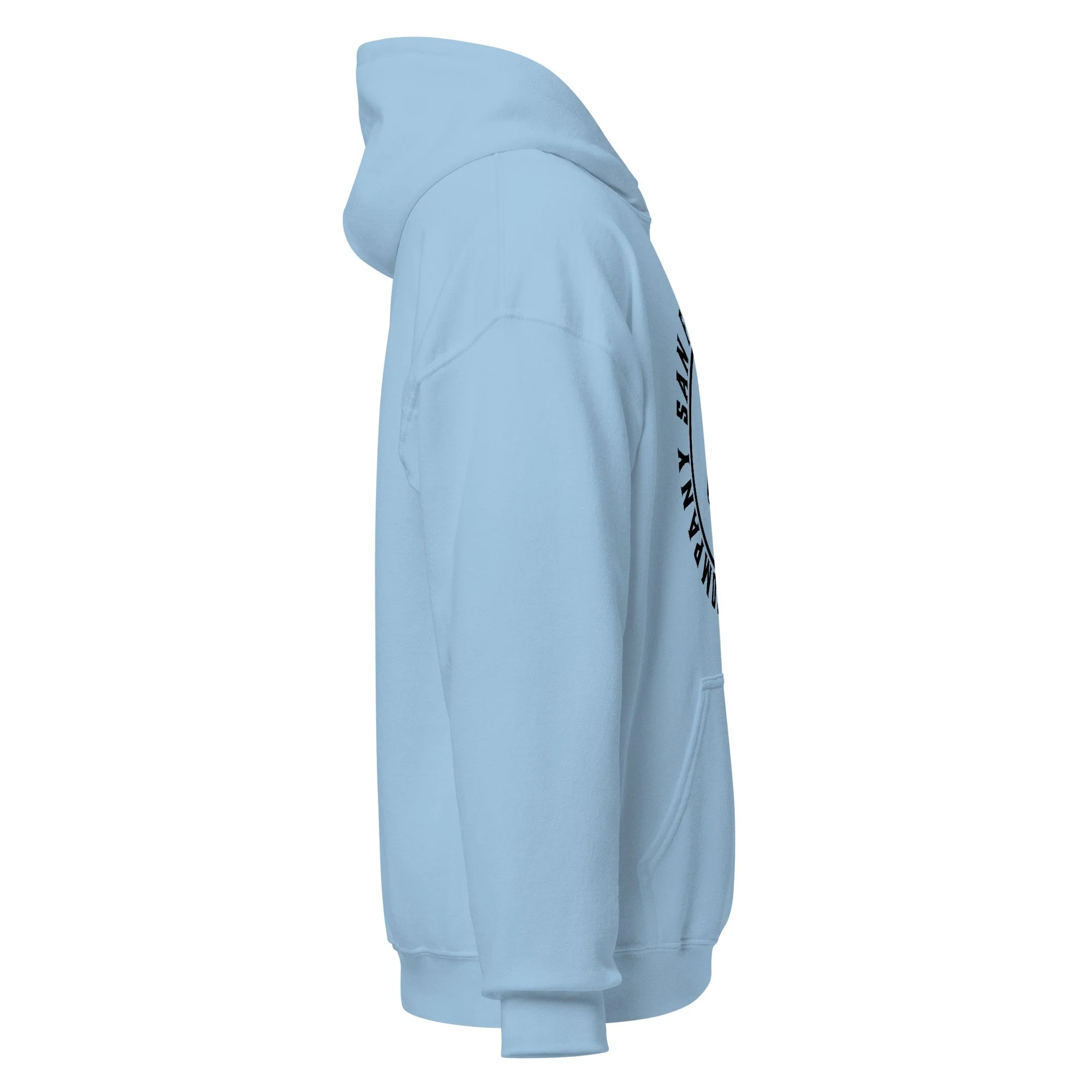 unisex-heavy-blend-hoodie-light-blue-right-69e27cb3d10f4.jpg