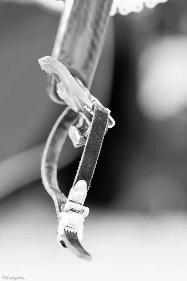 _MG_9545.jpg
