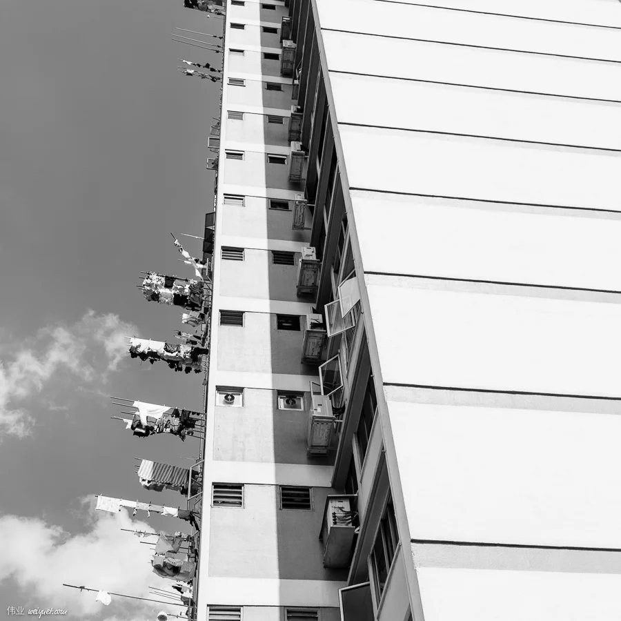 _MG_5713.jpg