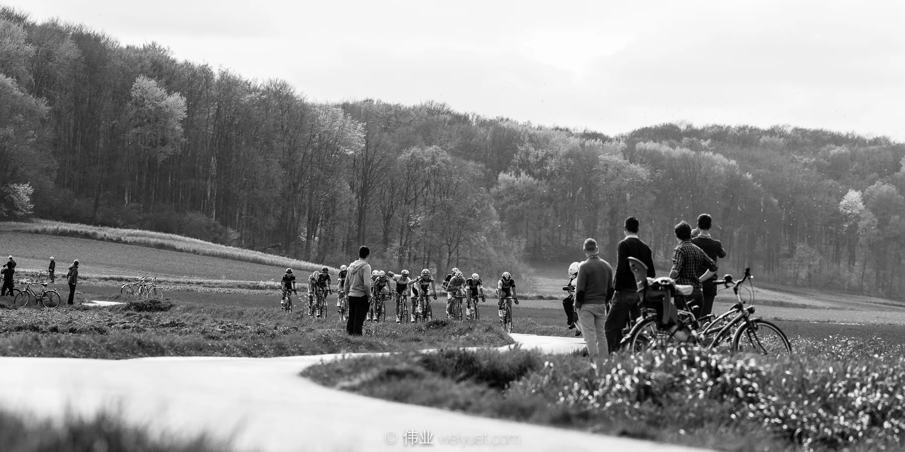 _MG_0851.jpg