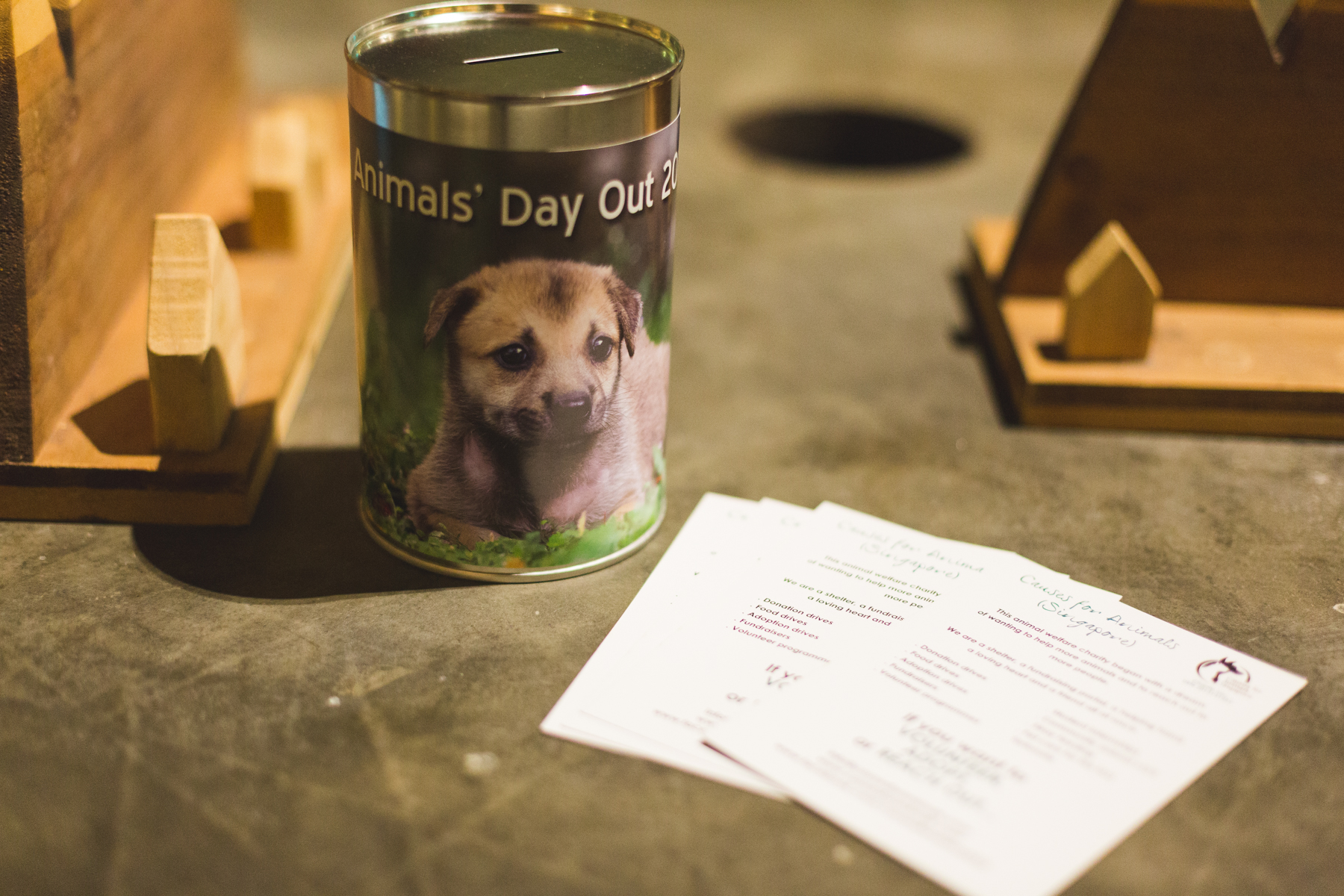 Something for the animal friends.