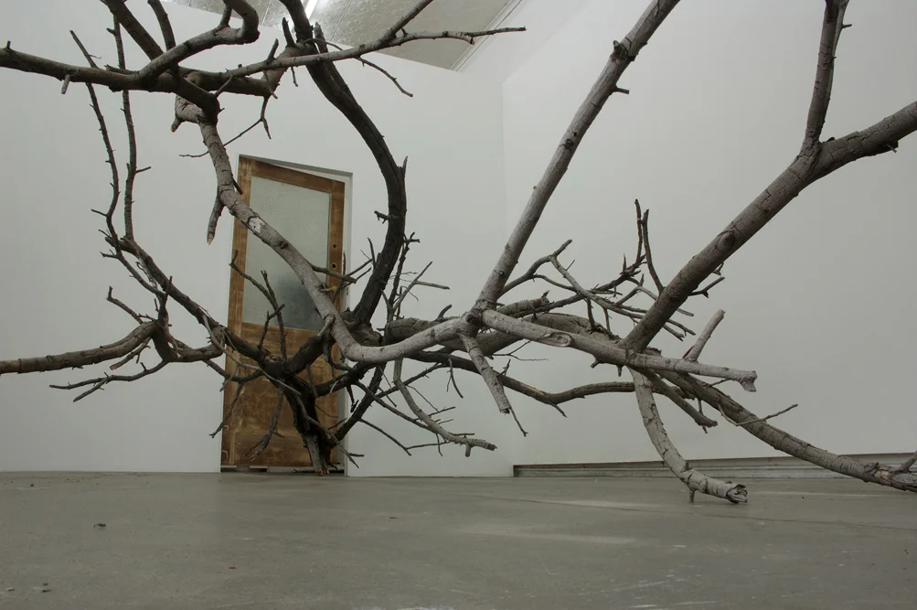 For Every Solution There is a Problem_01.jpg