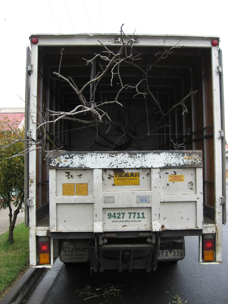 For Every Solution There is a Problem_tree:truck08.jpg