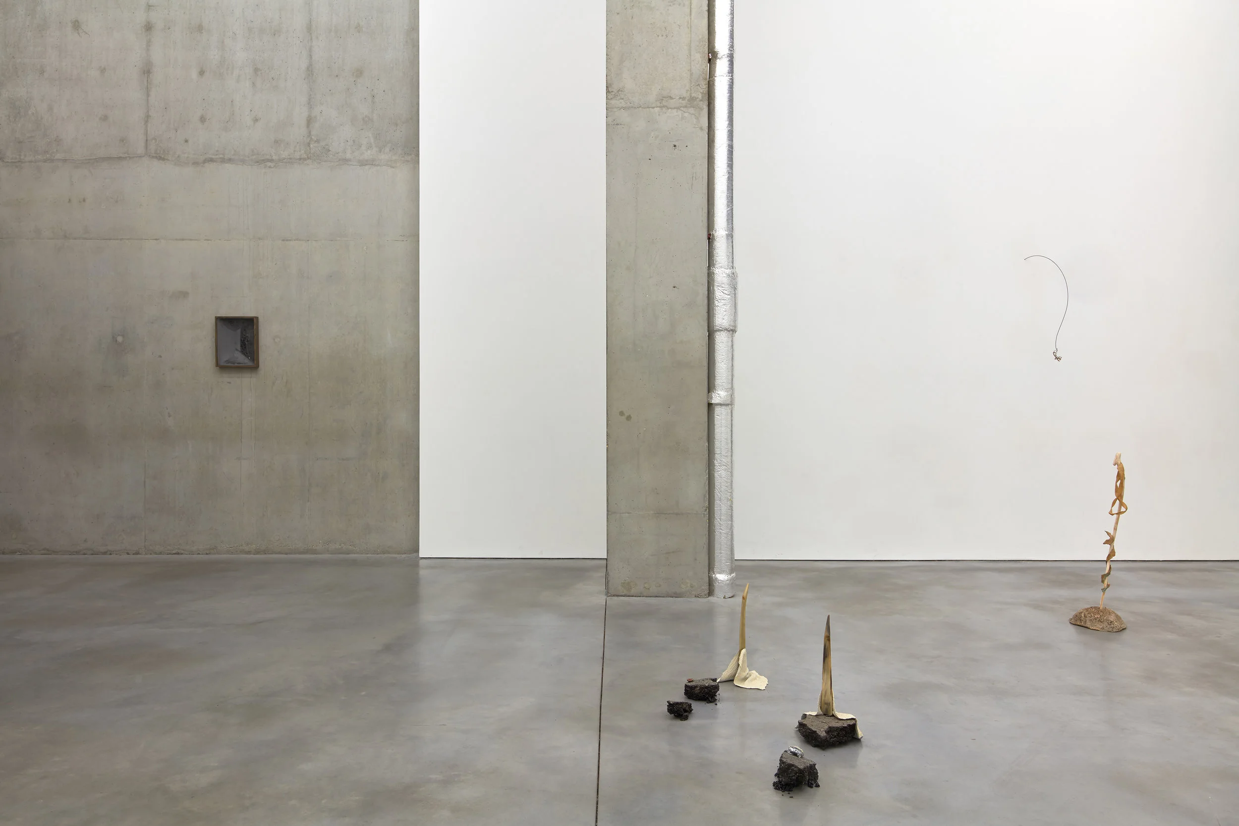 SusanJacobs_Animalgrammar_Installation_03_2018.jpg