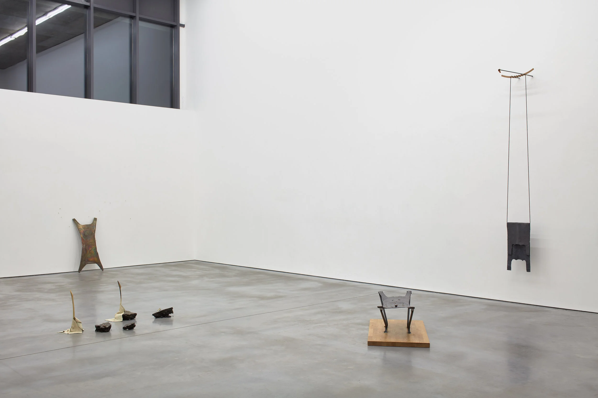 SusanJacobs_Animalgrammar_Installation01_2018.jpg