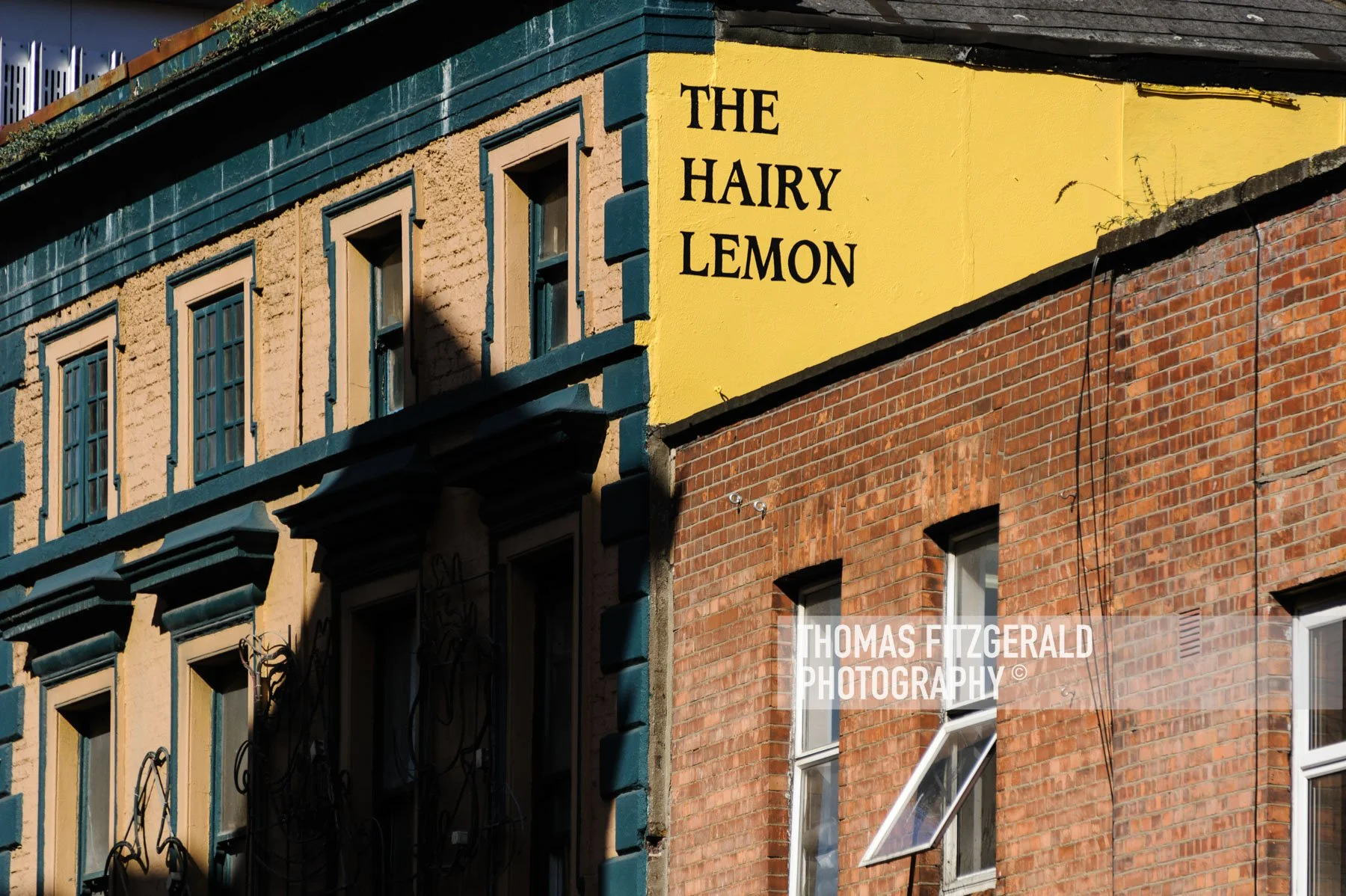 Dublin-Pubs-_DSC4557.jpg