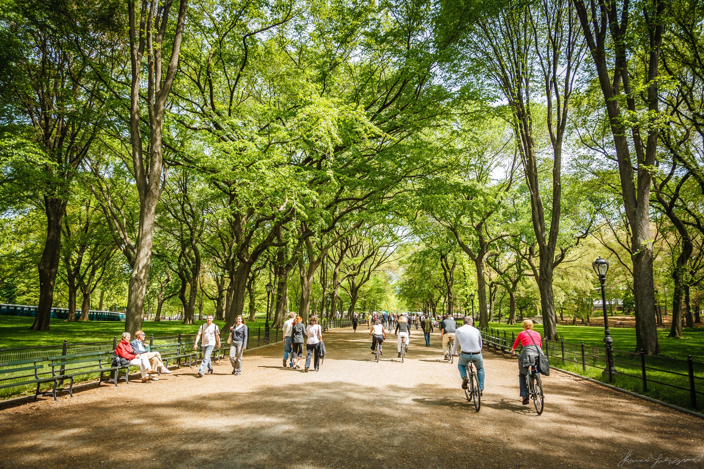 Central-Park-New-York-City-3.jpg