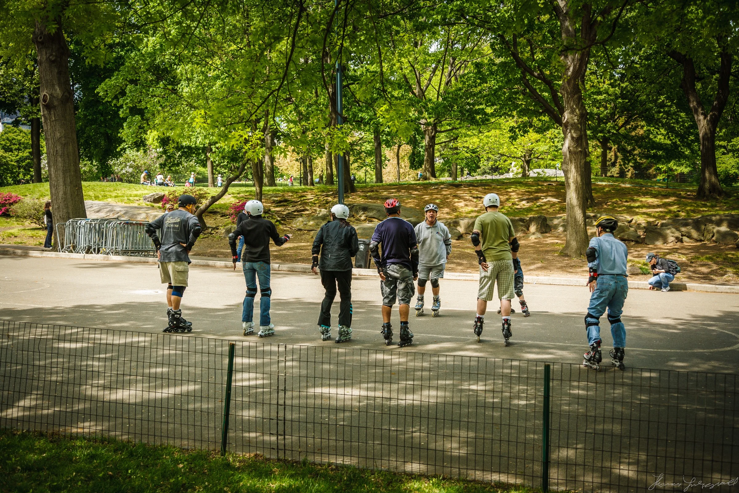 Central-Park-New-York-City-4.jpg