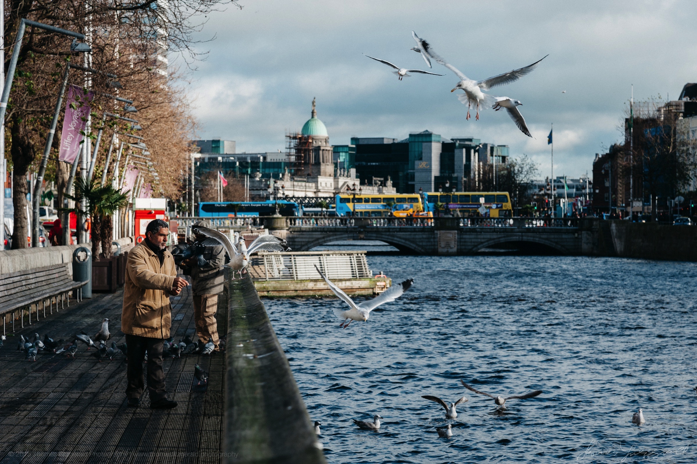 Feeding the birds on the boardwalk in Dublin City