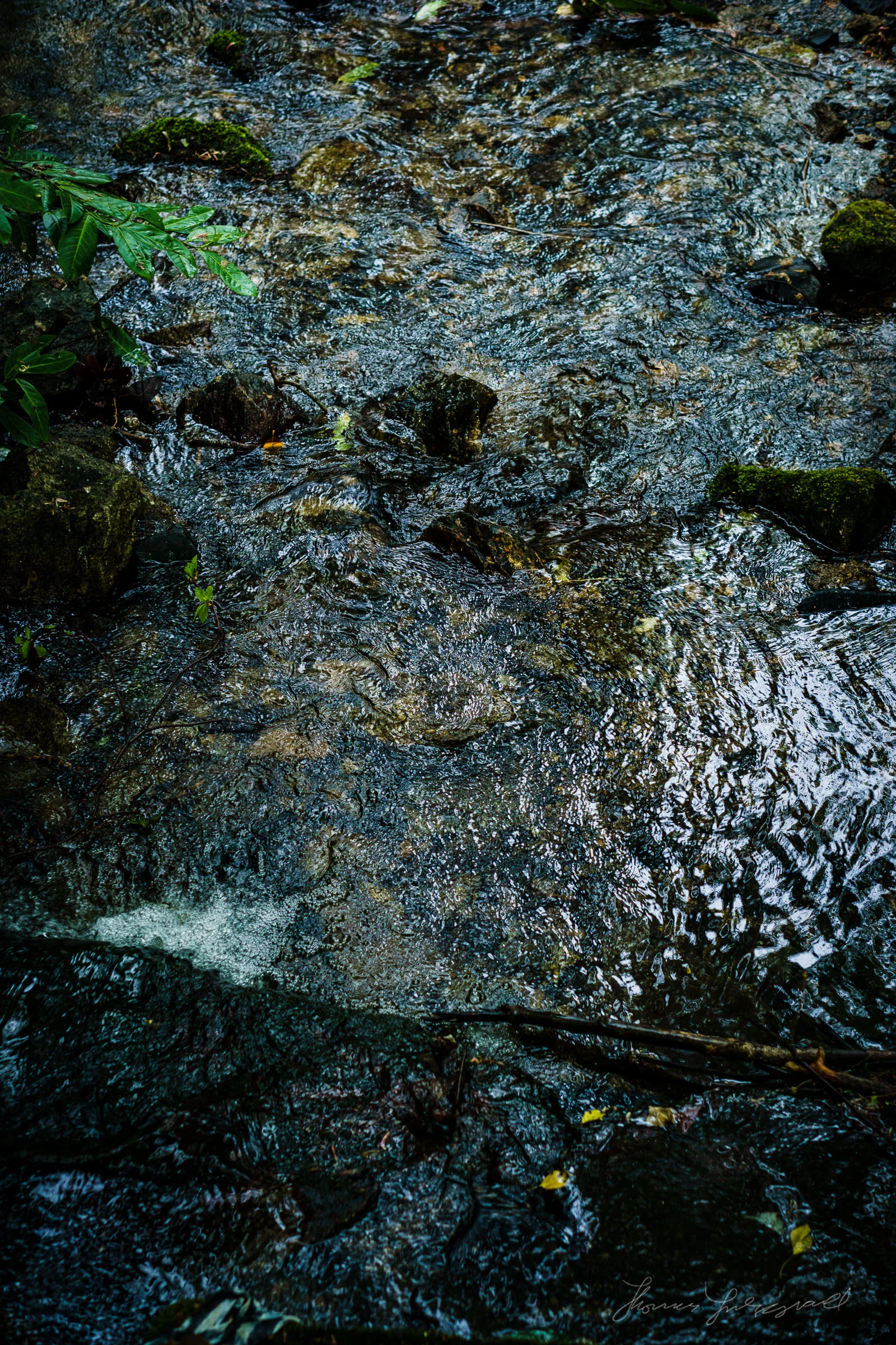 _DSC0286.jpg