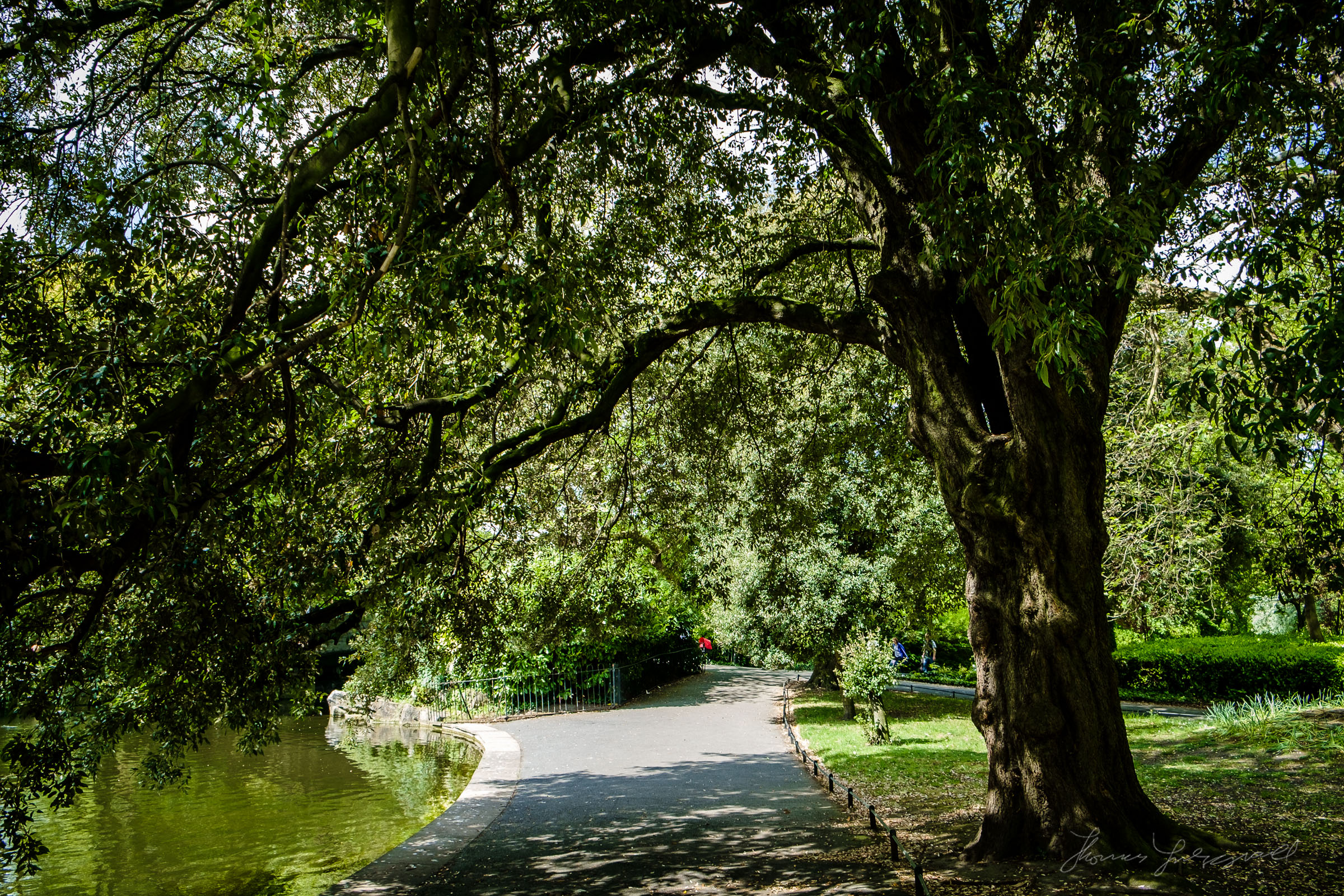 A Path in the Park