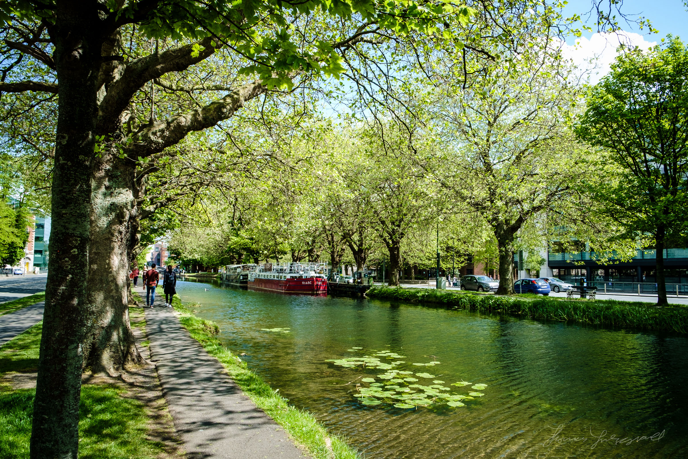 Summer by the Canal