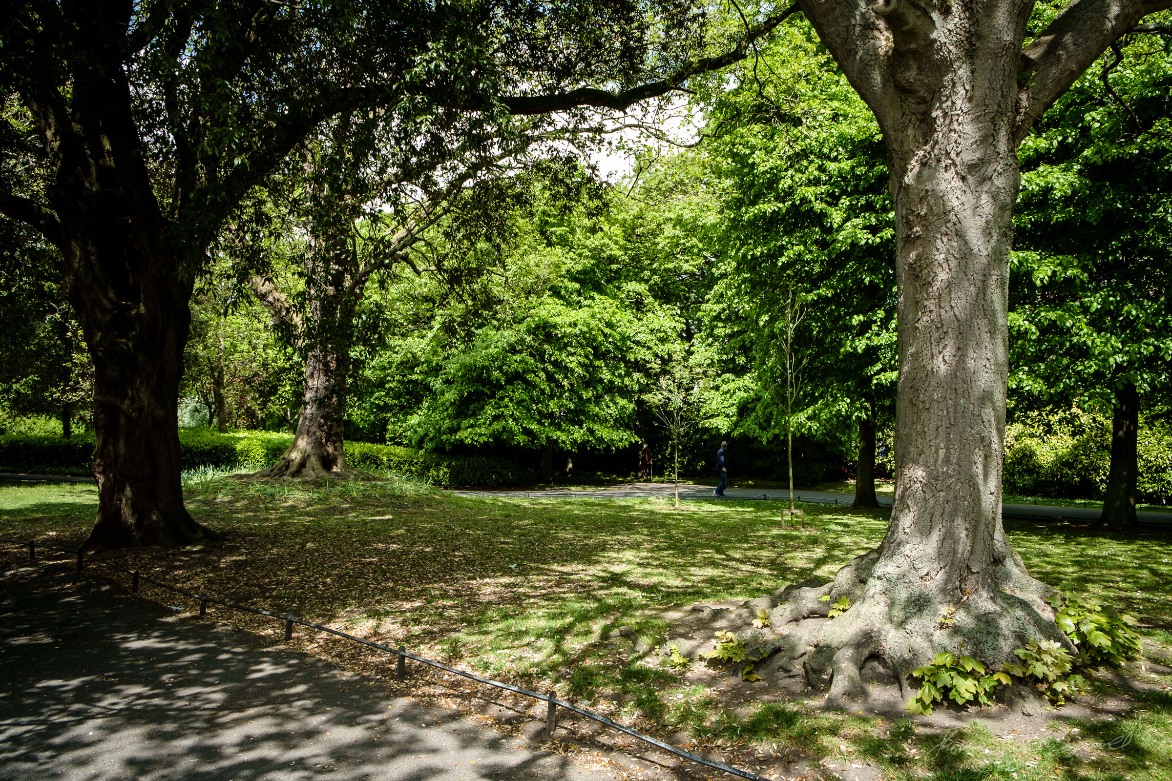 Sunny day in the Park