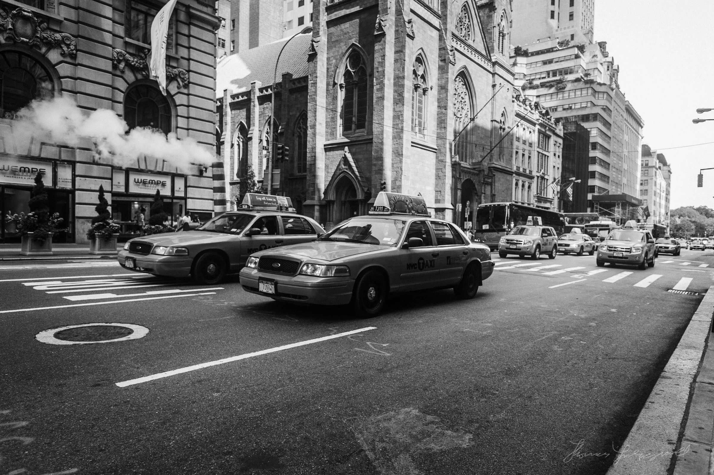 DSC_7803.jpg
