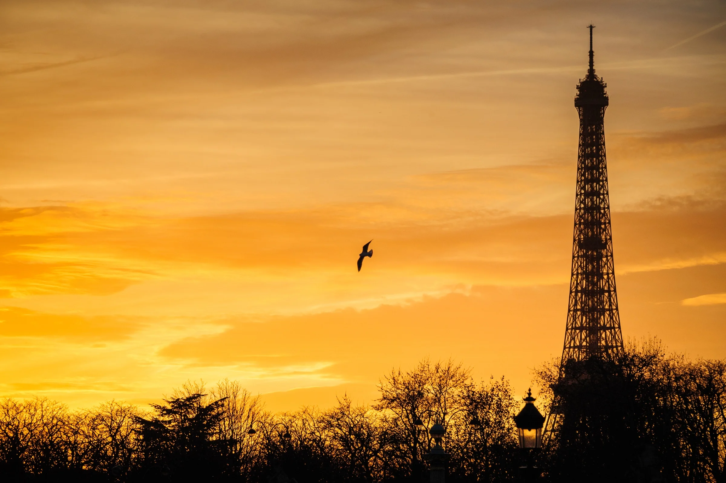 Paris-Images-TF-PHOTO-131.jpg