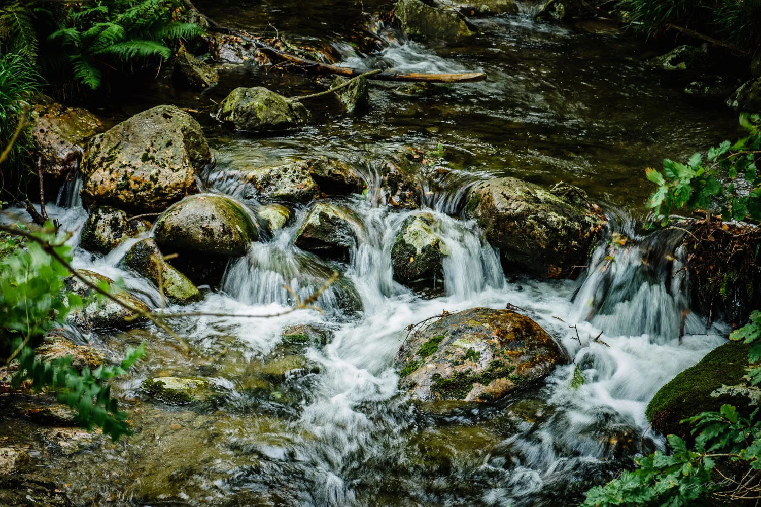 Two years with Fuji X-Pro2 - Landscape and Nature46