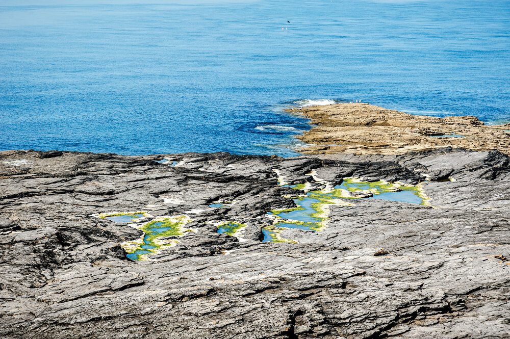 Rock pools off Hook Head