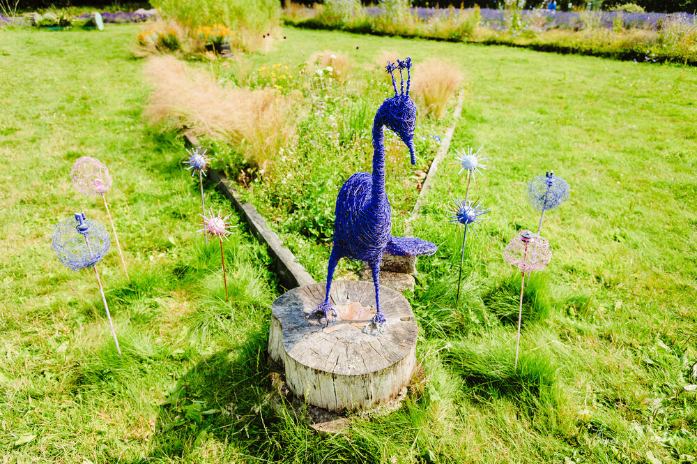 Lavender Peacock Stature