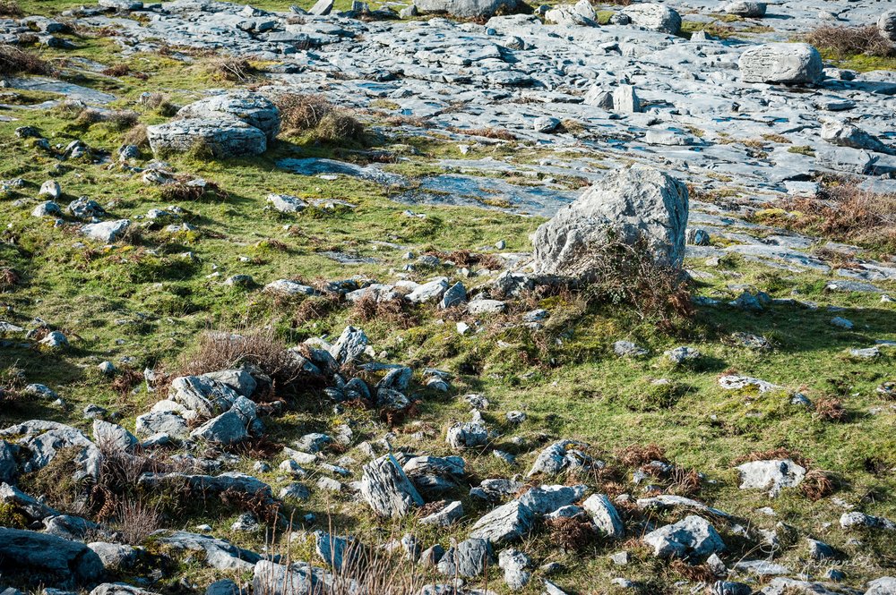 Rocks in a Field