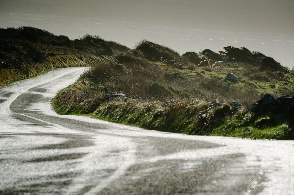 Roadway into the distance