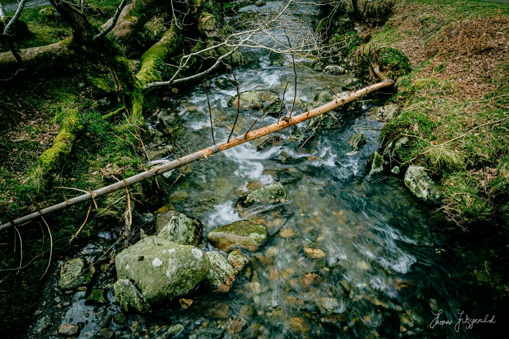 Mountain Stream