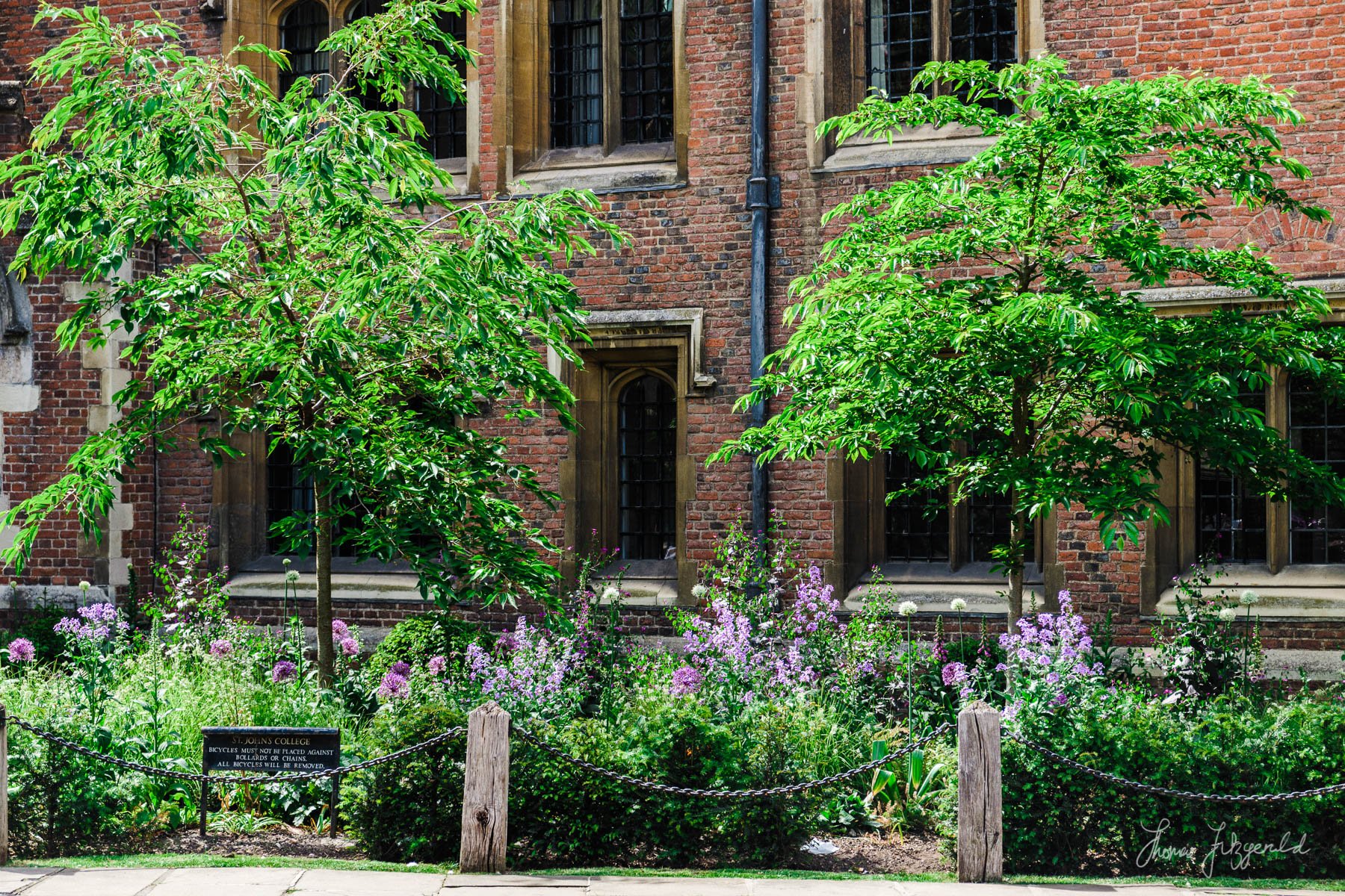 Greenery and Flowers outside the University Buildings in Cambrid