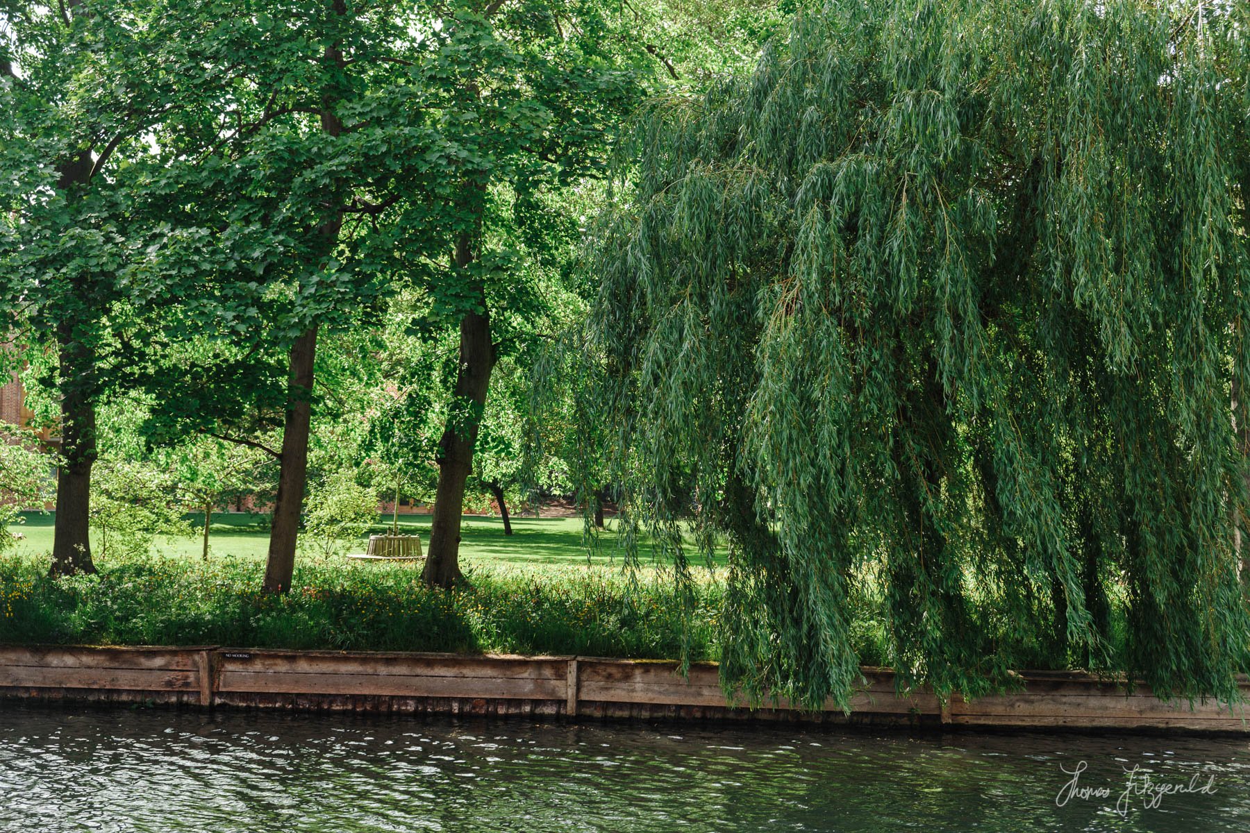 By the River Cam in Cambridge