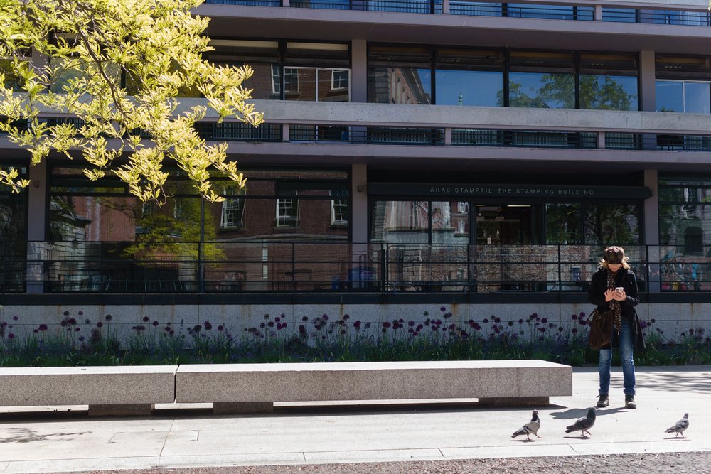 Texting by pigeons