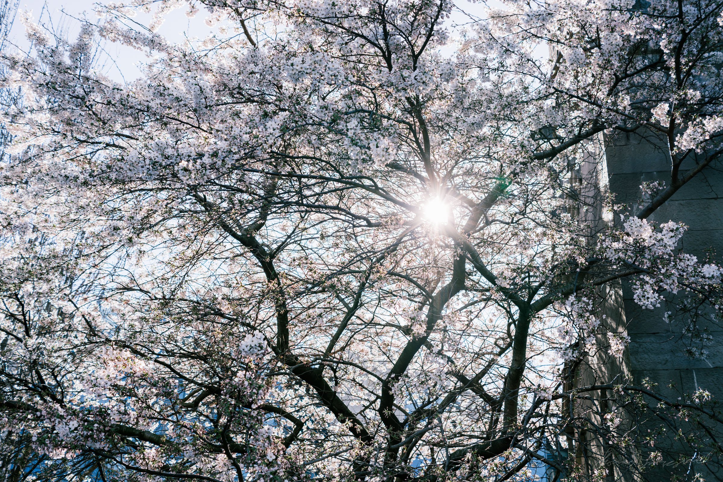 Fujifilm-X-E4-Sample-Image00019.jpg