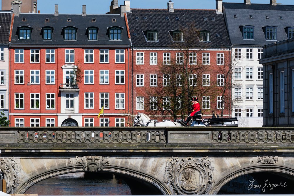 Royal Horses crossing the bridge in Copenhagen