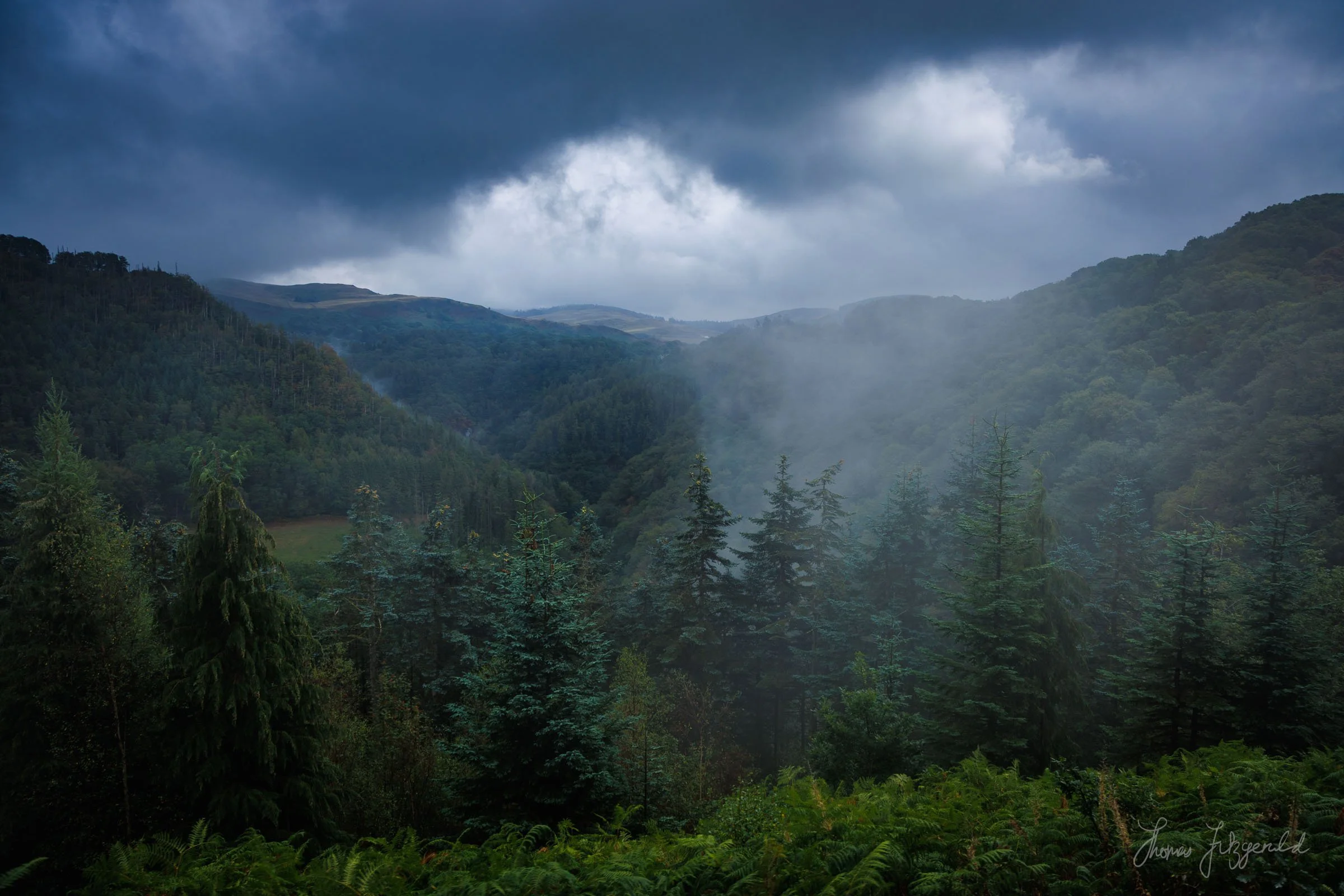 View over the valley as the train rounds the corner at the top of the track near Devil's Bridge